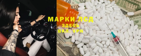 ГАЛЛЮЦИНОГЕННЫЕ ГРИБЫ Горняк
