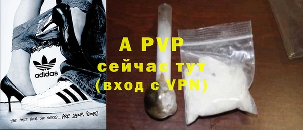ГАЛЛЮЦИНОГЕННЫЕ ГРИБЫ Горняк