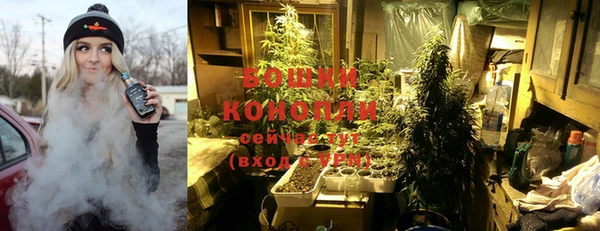 ГАЛЛЮЦИНОГЕННЫЕ ГРИБЫ Горняк