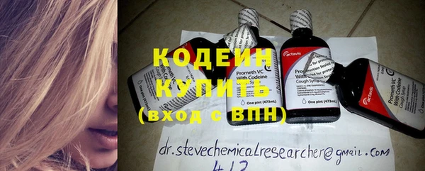 ГАЛЛЮЦИНОГЕННЫЕ ГРИБЫ Горняк