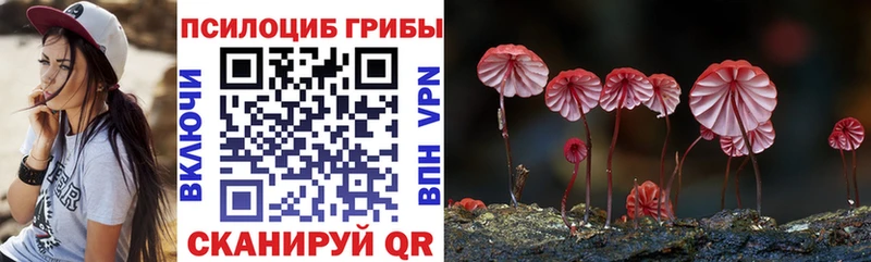 Галлюциногенные грибы мицелий  магазин    ОМГ ОМГ зеркало  Кочубеевское 